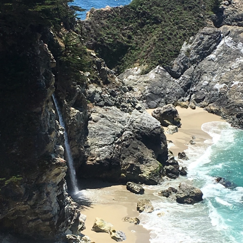 Meet your Posher, Blossom’s Closet